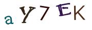 CAPTCHA con immagine
