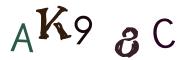 CAPTCHA con immagine